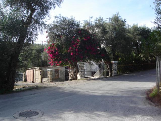 Natsios Apartments Vlachopoulatika Bagian luar foto